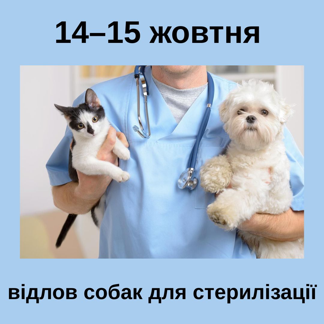 Фотографія лікар з котом і собакою на руках